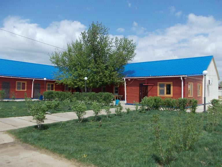 Ловля сазана в селитренном Ловля сазана в селитренном